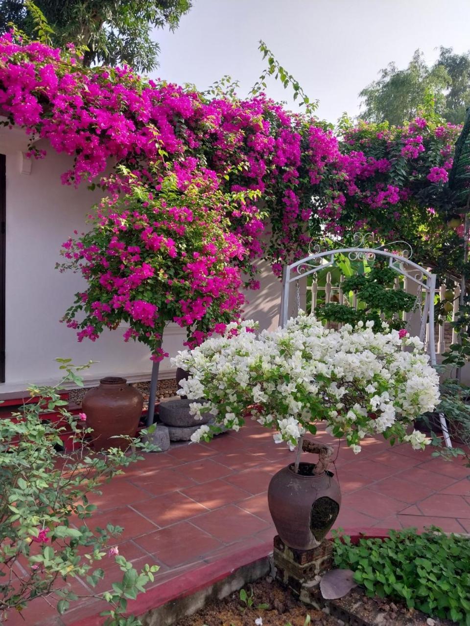 Nha Xanh Homestay Ninh Binh Bagian luar foto