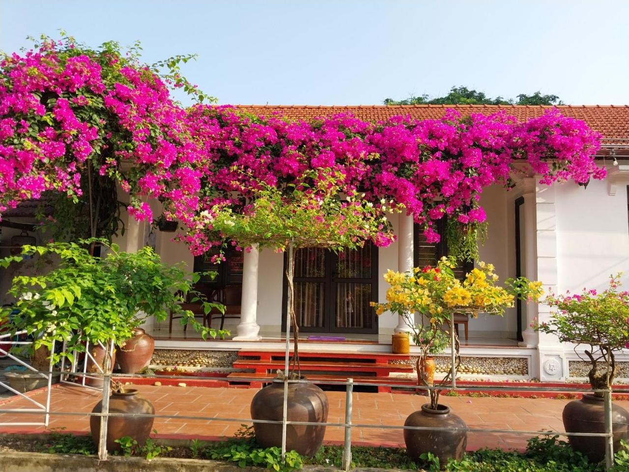 Nha Xanh Homestay Ninh Binh Bagian luar foto